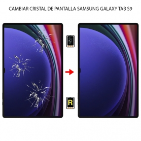 Cambiar Cristal De Pantalla Samsung Galaxy Tab S9