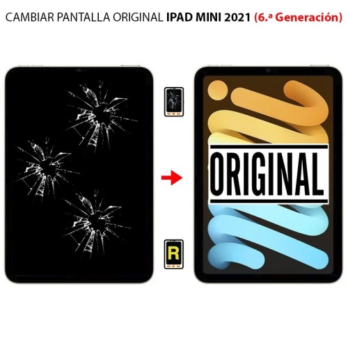 Cambiar Pantalla iPad Mini 6 2021 Original