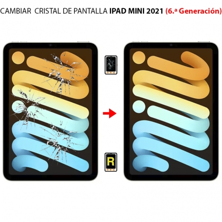Cambiar Cristal De Pantalla iPad Mini 6 2021