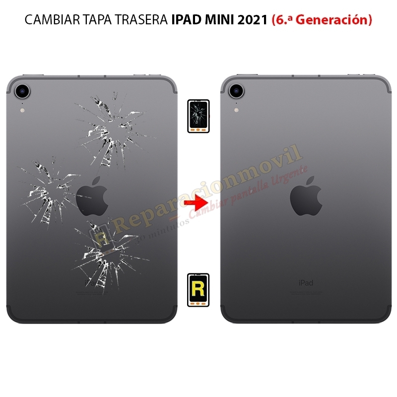 Cambiar Tapa Trasera iPad Mini 6 2021