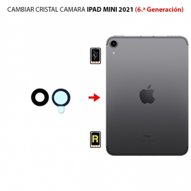 Cambiar Cristal Cámara Trasera iPad Mini 6 2021