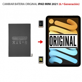 Cambiar Batería iPad Mini 6 2021 Original