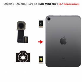 Cambiar Cámara Trasera iPad Mini 6 2021