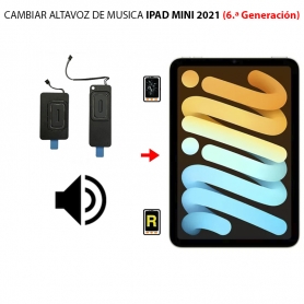 Cambiar Altavoz De Música iPad Mini 6 2021
