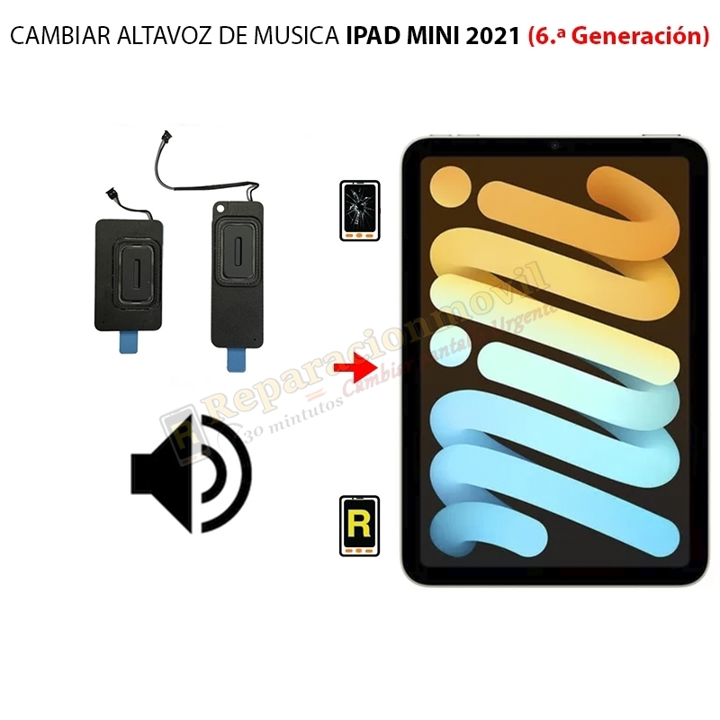 Cambiar Altavoz De Música iPad Mini 6 2021