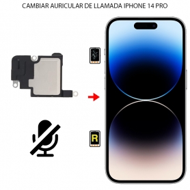 Cambiar Auricular De Llamada iPhone 14 Pro
