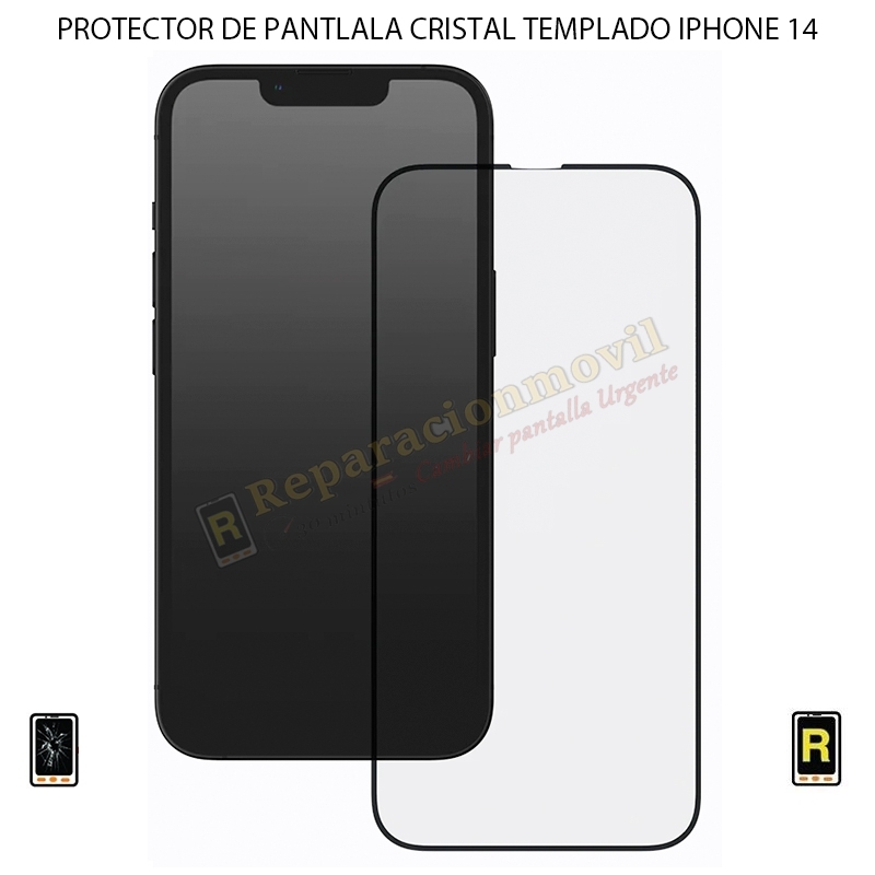 Protector Pantalla Cristal Templado iPhone 14