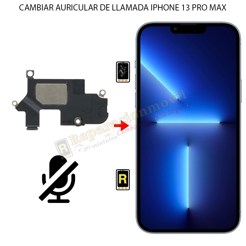 Cambiar Auricular De Llamada iPhone 13 Pro Max