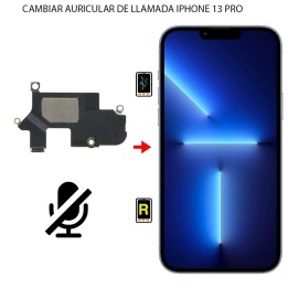 Cambiar Auricular De Llamada iPhone 13 Pro