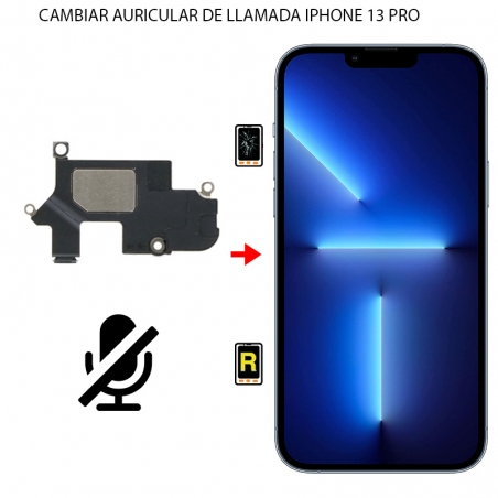 Cambiar Auricular De Llamada iPhone 13 Pro