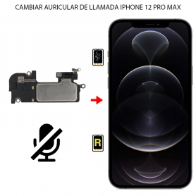 Cambiar Auricular de llamada iPhone 12 Pro Max