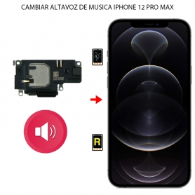 Cambiar Altavoz de Llamada iPhone 12 Pro Max