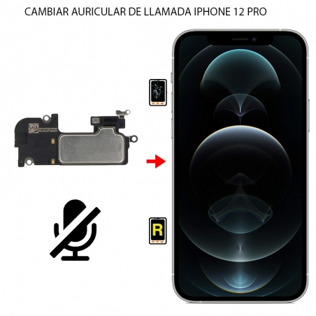 Cambiar Auricular de llamada iPhone 12 Pro