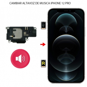 Cambiar Altavoz de Llamada iPhone 12 Pro