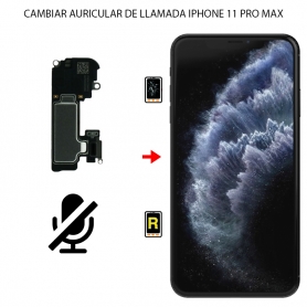 Cambiar Auricular de Llamada iPhone 11 Pro Max