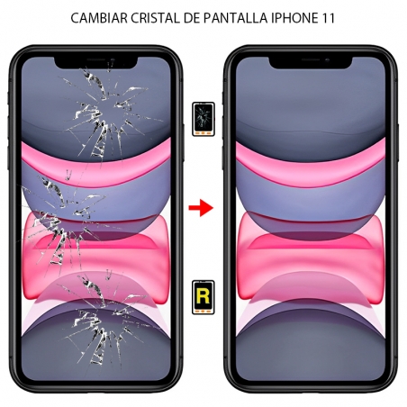 Cambiar Cristal De Pantalla iPhone 11
