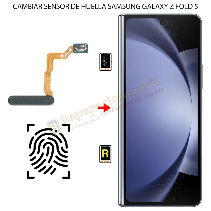 Cambiar Sensor de Huella Samsung Galaxy Z Fold 5