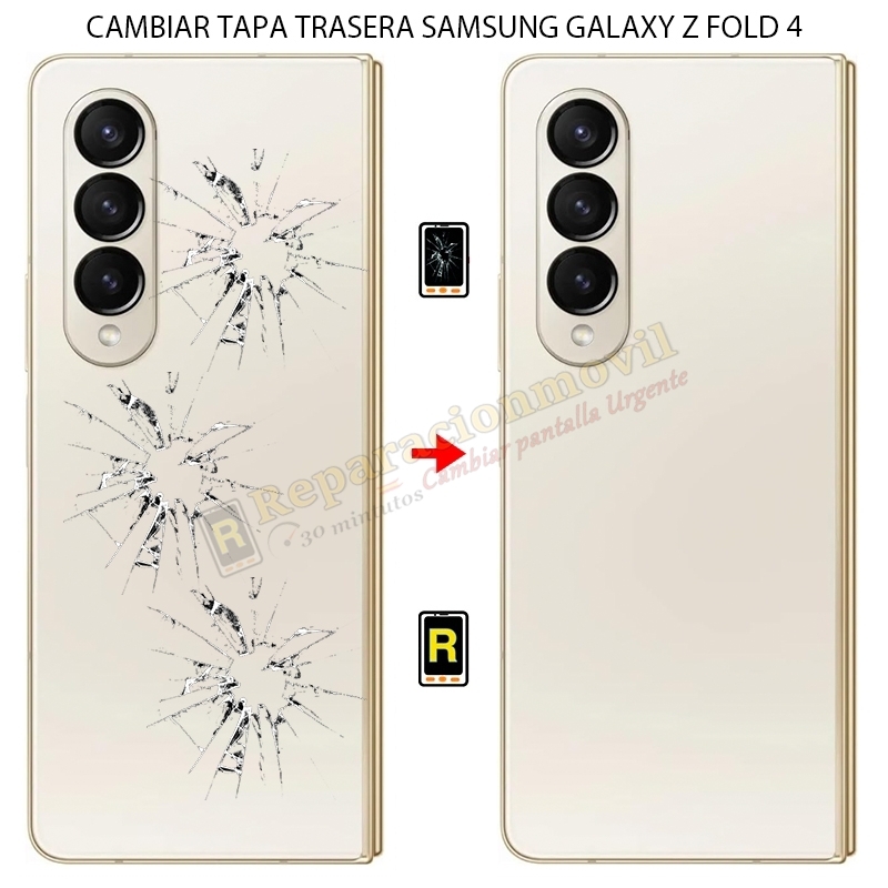 Cambiar Tapa Trasera Samsung Galaxy Z Fold 4 5G