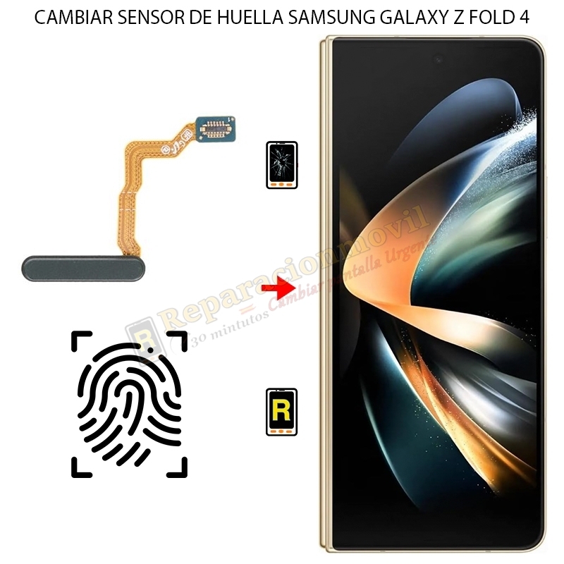 Cambiar Sensor de Huella Samsung Galaxy Z Fold 4
