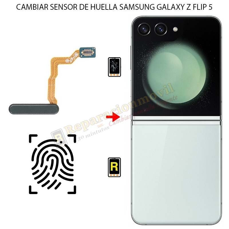 Cambiar Sensor de Huella Samsung Galaxy Z Flip 5