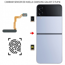 Cambiar Sensor de Huella Samsung Galaxy Z Flip 4