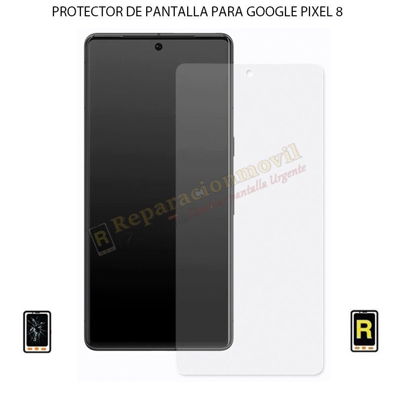 Protector de Pantalla Google Pixel 8