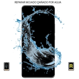 Reparar Motorola Moto G84 5G Mojado