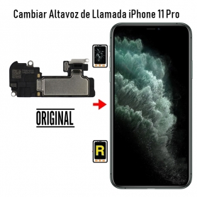 Cambiar Auricular de Llamada iPhone 11 Pro