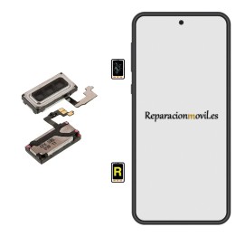 Cambiar Auricular de Llamada Xiaomi Poco M6 Pro 5G