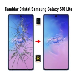 Cambiar Cristal De Pantalla Samsung Galaxy S10 Lite SM-G770F