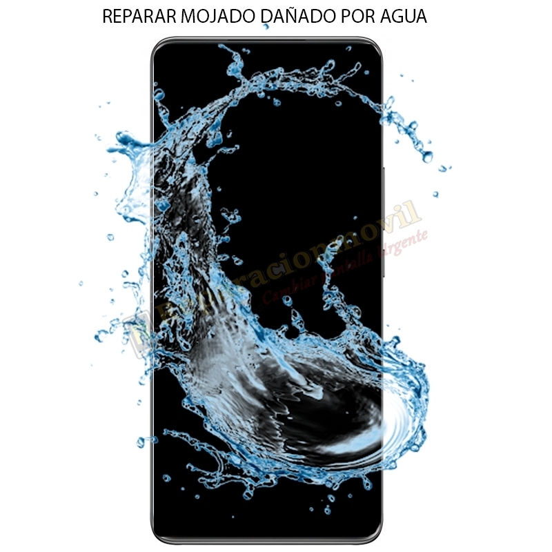 Reparar Realme 11 5G Mojado