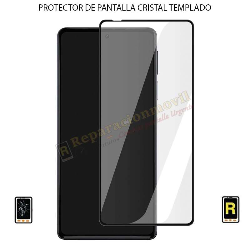 Protector de Pantalla Oppo Find X6 Cristal Templado