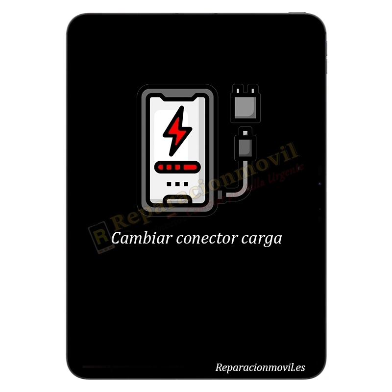 Cambiar Conector de Carga Apple iPad Pro 13 2024