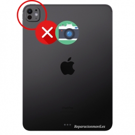 Cambiar Cámara Trasera Apple iPad Pro 13 2024