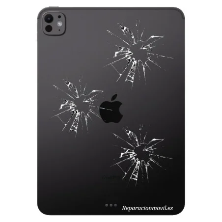 Cambiar Tapa Trasera Apple iPad Air 13 2024