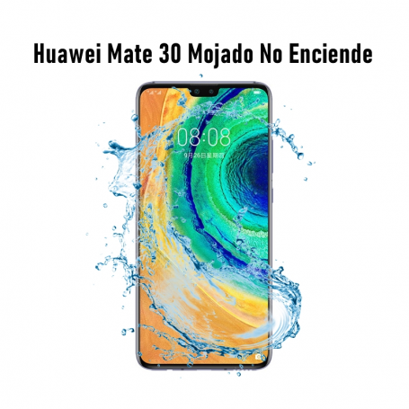 Reparar Huawei Mate 30 Mojado