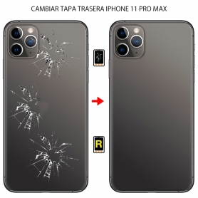 Cambiar Tapa Trasera iPhone...