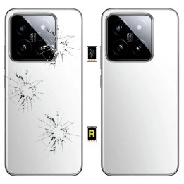 Cambiar Tapa Trasera Xiaomi 15 Madrid