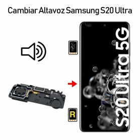 Cambiar Altavoz De Música Samsung S20 Ultra