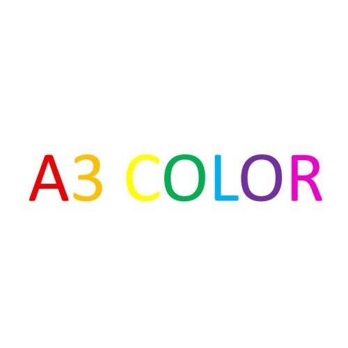 FOTOCOPIA COLOR A3 PAGINA