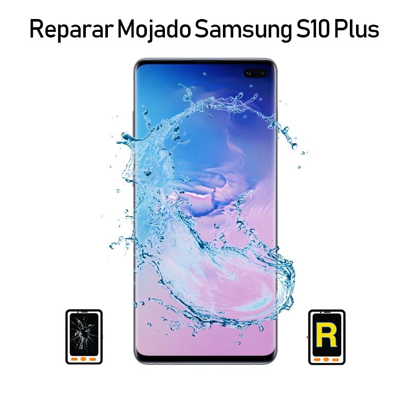 Reparar Mojado Samsung galaxy S10 Plus