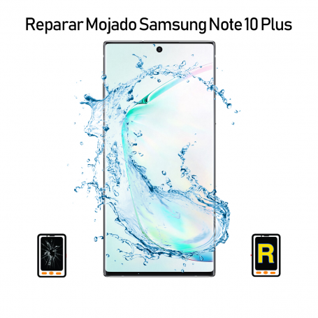 Reparar Mojado Samsung Galaxy Note 10 Plus SM-N975F
