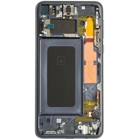 GH82-18843A Pantalla Samsung S10e / G970F Negro