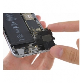 Cambiar altavoz iPhone 6