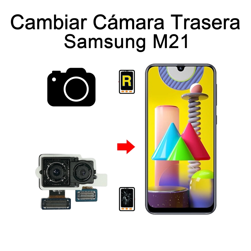 Cambiar Cámara Trasera Samsung Galaxy M21