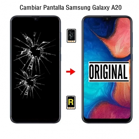 Cambiar Pantalla Samsung Galaxy A20 SM-A205F