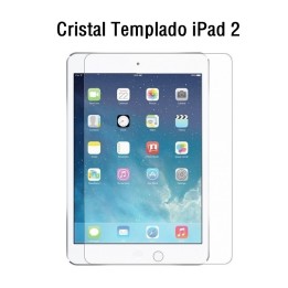 Protector De Pantalla Para iPad 2