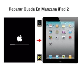 Reparar Queda En Manzana iPad 2