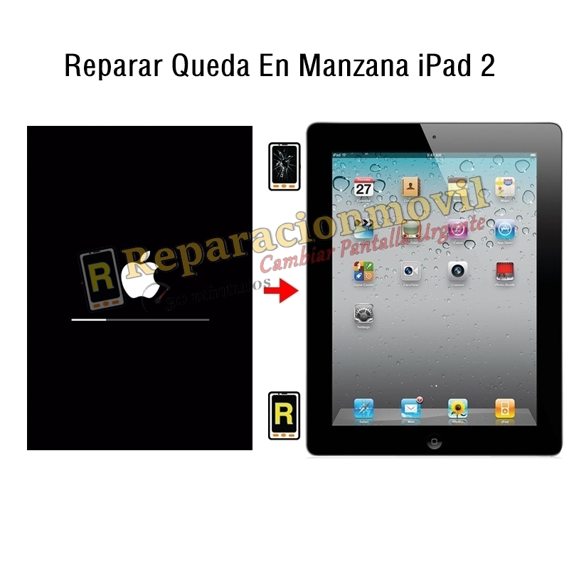 Reparar Queda En Manzana iPad 2
