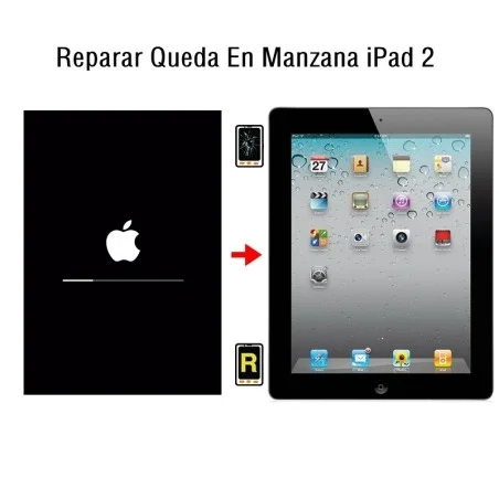 Reparar Queda En Manzana iPad 2